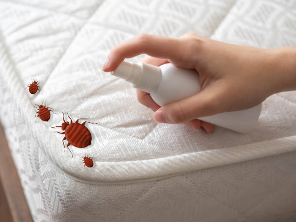 Best Pest Prevention Services  in Sharonville, OH