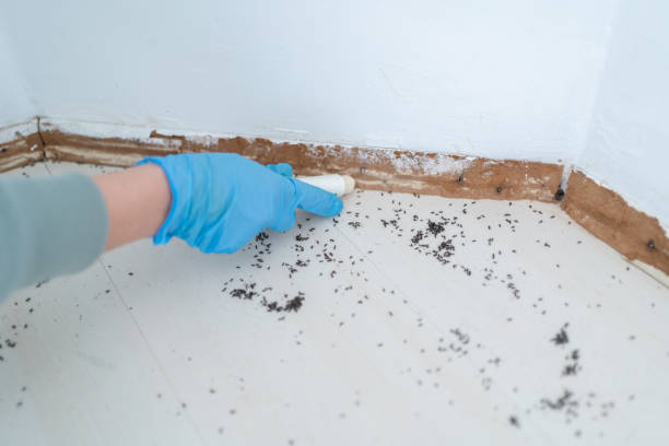 Best Exterminator Services  in Sharonville, OH